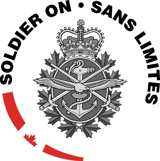 Canadian Armed Forces Transition Group (CAFTG)